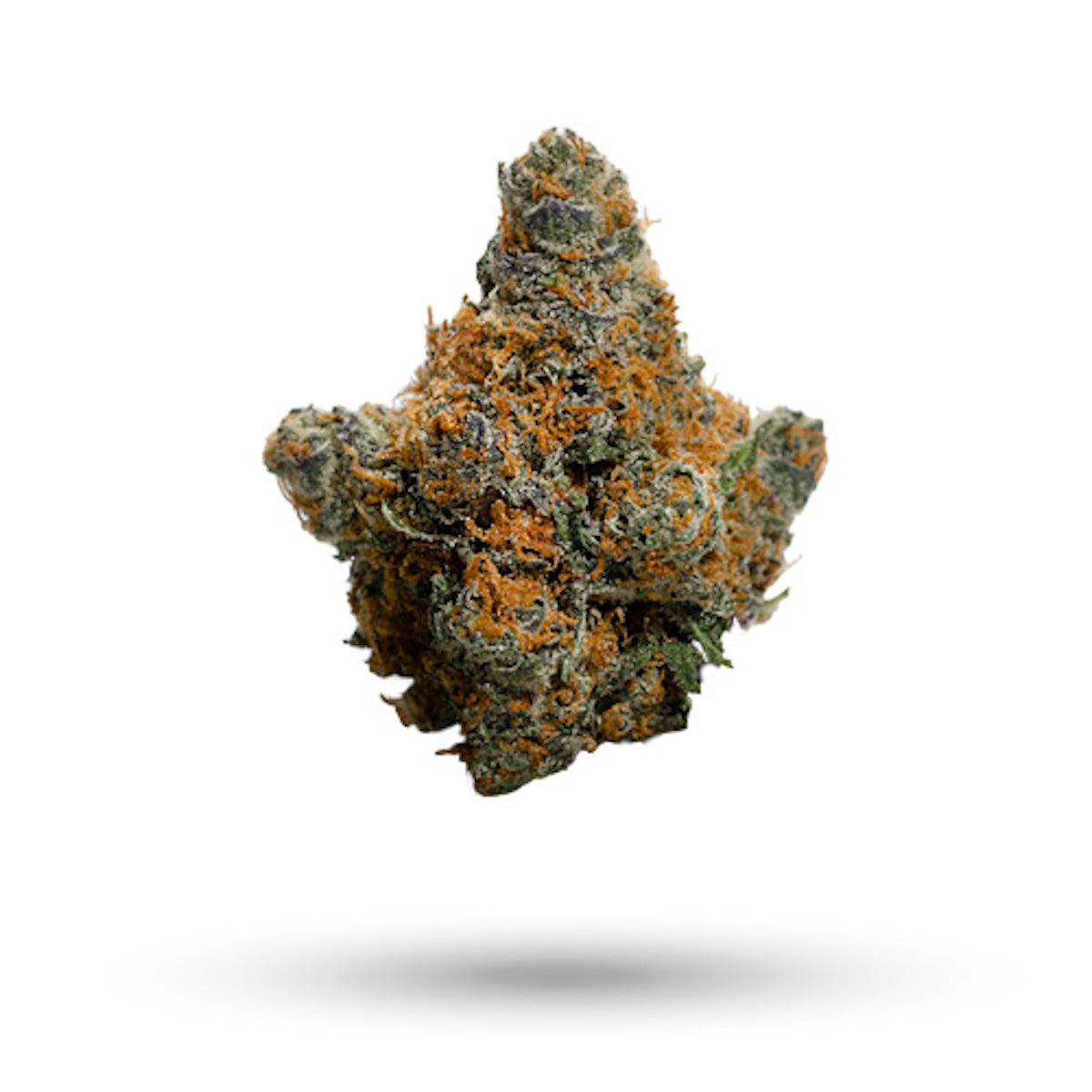 5280 Gravy marijuana strain flower with pine and chemical flavor and happy / uplifted effects - Rare Harvest indica