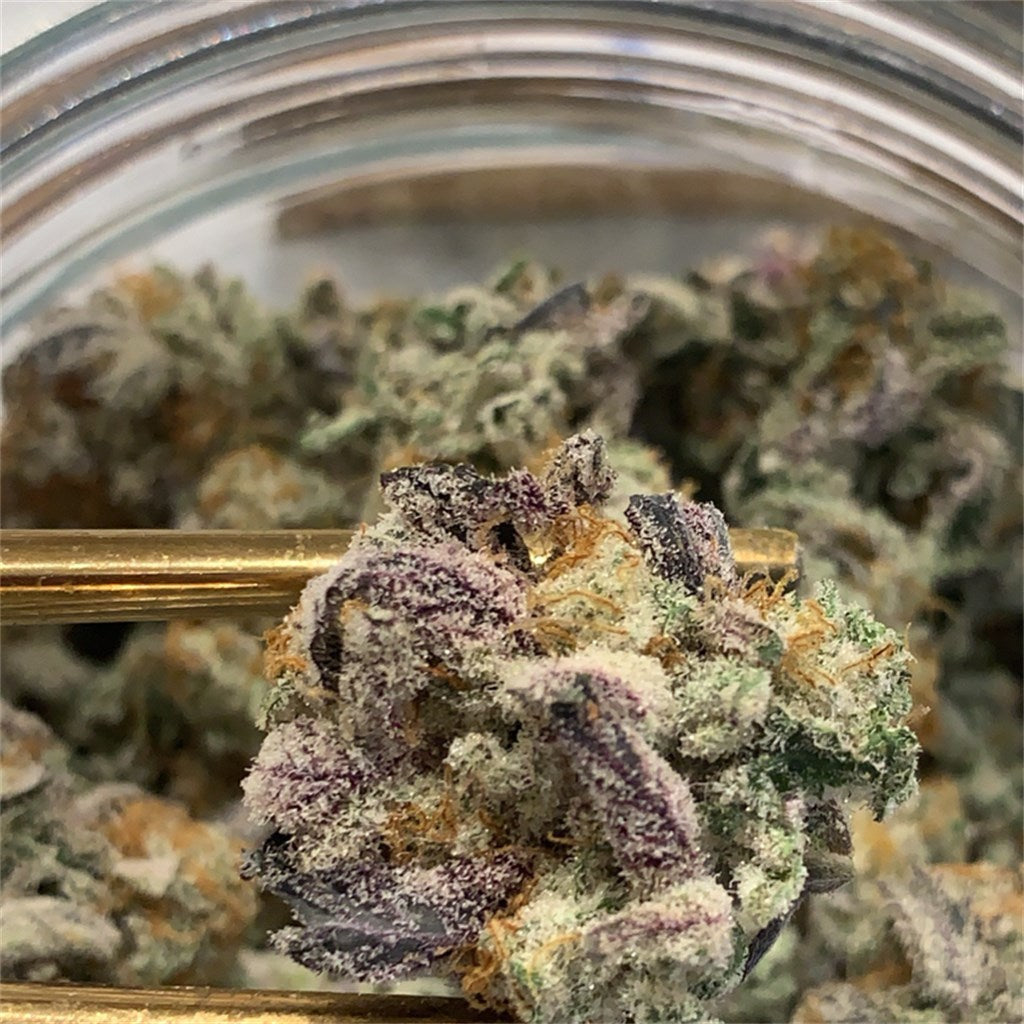 MAC marijuana strain flower with pepper and citrus flavor and relaxed / happy effects - Rare Harvest hybrid