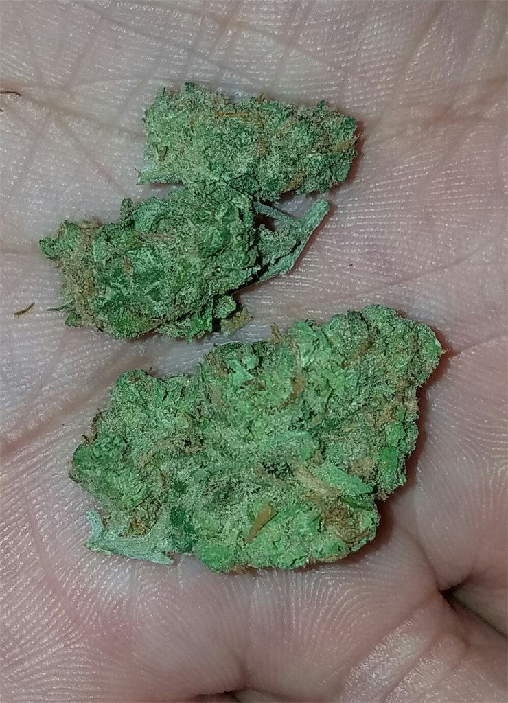 Madagascar marijuana strain flower with earthy and sweet flavor and sleepy / happy effects - Rare Harvest indica