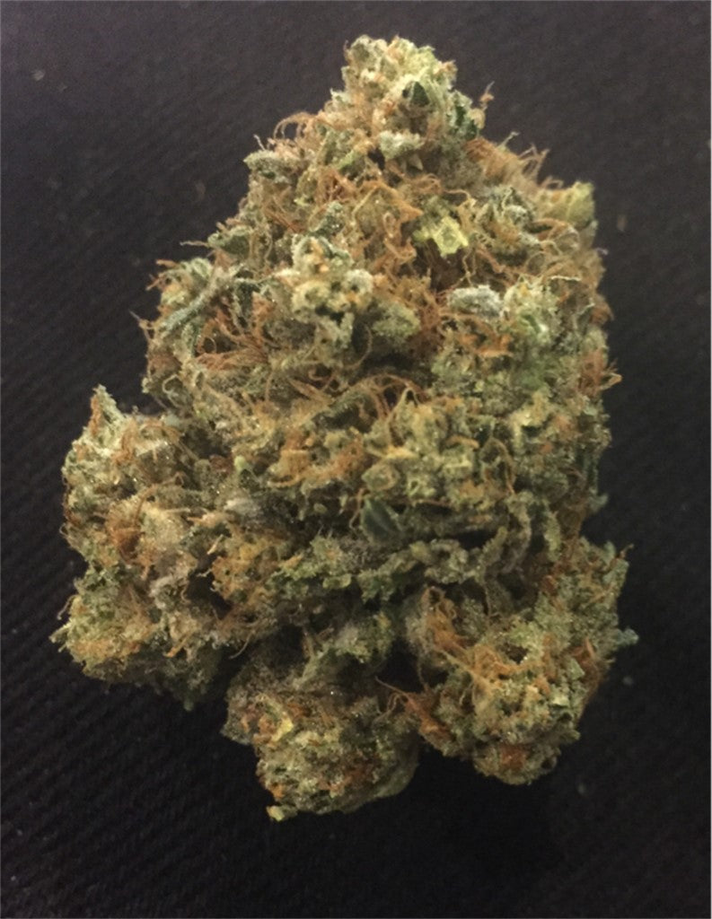 Madzilla marijuana strain flower with berry and pine flavor and uplifted / happy effects - Rare Harvest indica