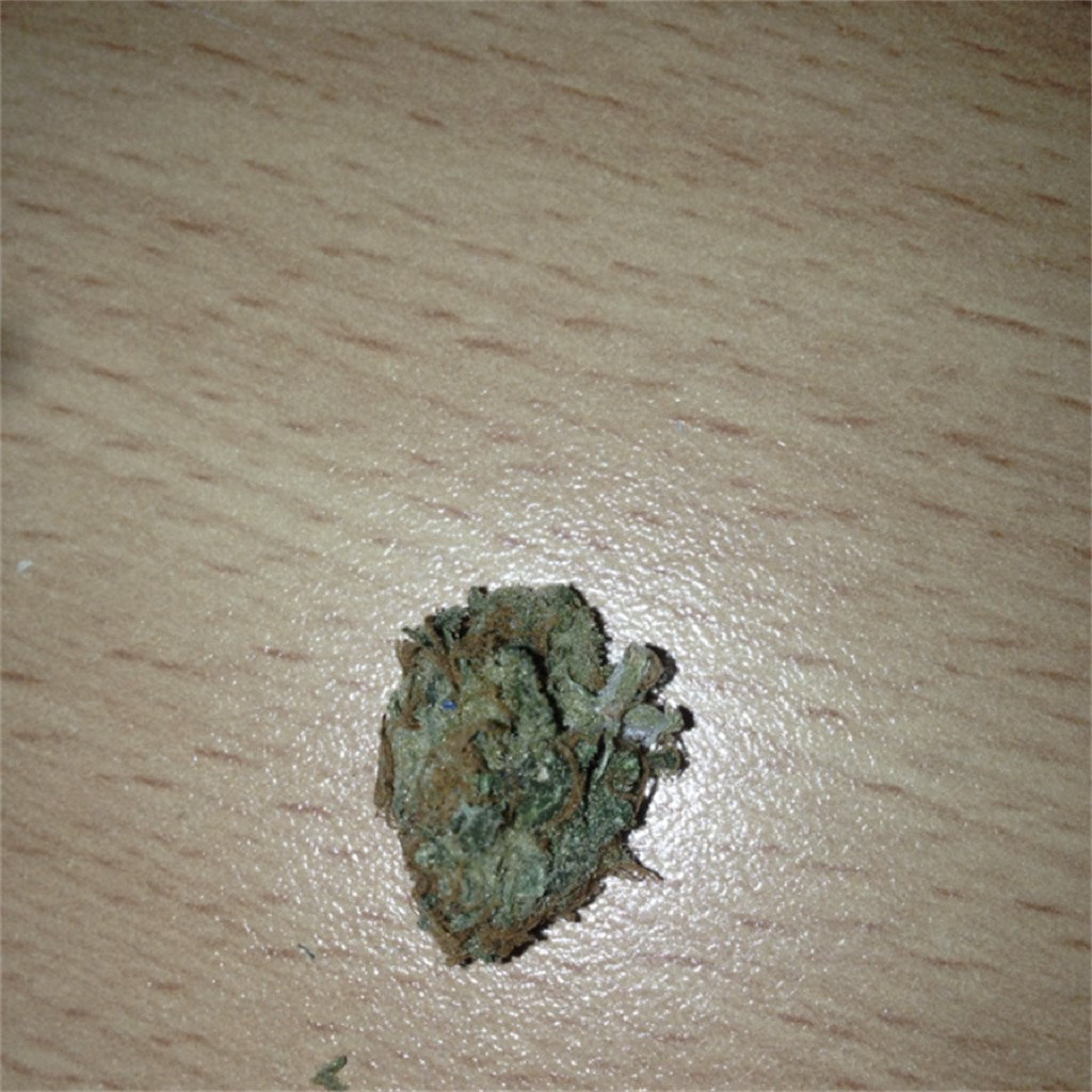 Magic Jordan marijuana strain flower with mint and citrus flavor and uplifted / happy effects - Rare Harvest hybrid