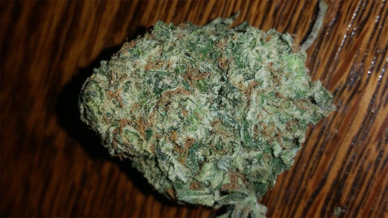 Majestic 12 marijuana strain flower with sweet and earthy flavor and happy / focused effects - Rare Harvest hybrid