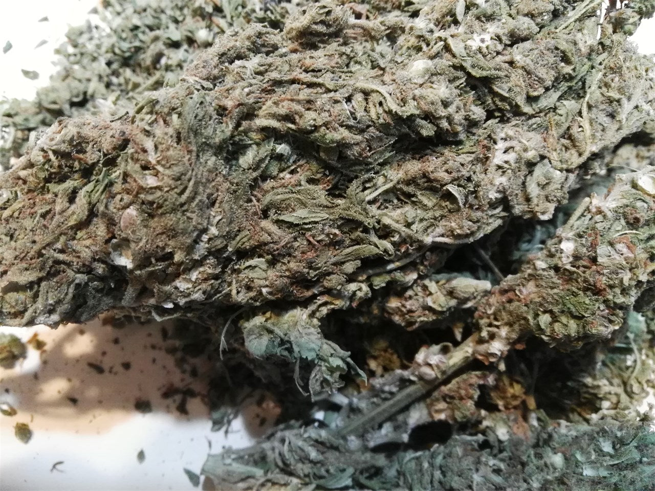 Mango Haze marijuana strain flower with mango and tropical flavor and energetic / focused effects - Rare Harvest sativa