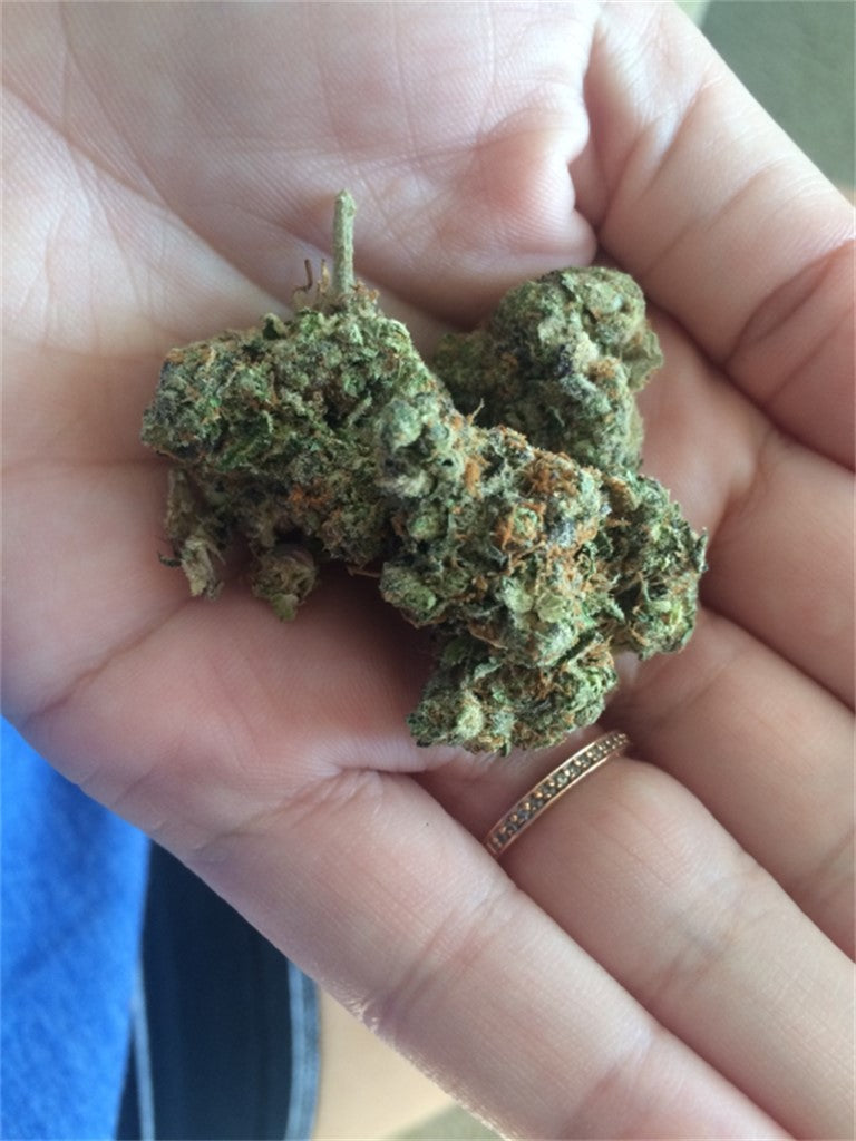 Margaret Cho-G marijuana strain flower with diesel and grapefruit flavor and creative / focused effects - Rare Harvest hybrid