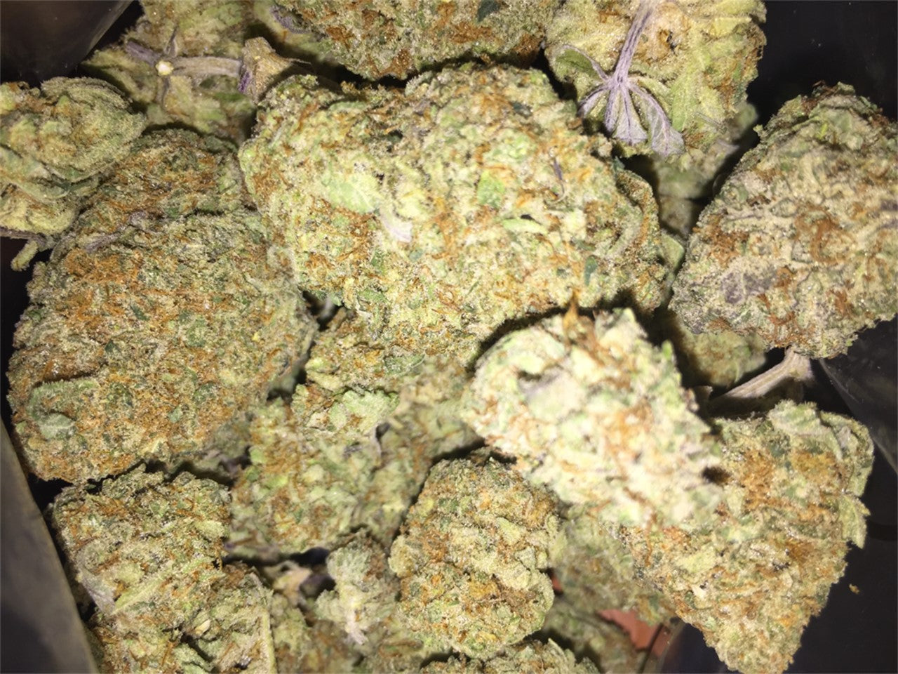 Martian Mean Green marijuana strain flower with grapefruit and pungent flavor and uplifted / focused effects - Rare Harvest hybrid
