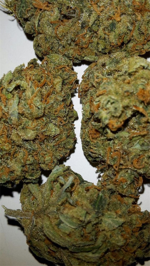 Master Kush marijuana strain flower with earthy and pungent flavor and sleepy / relaxed effects - Rare Harvest indica