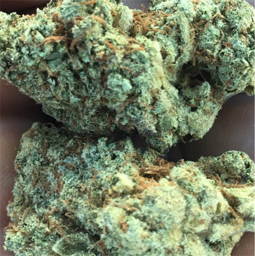 Master OG marijuana strain flower with woody and pine flavor and sleepy / hungry effects - Rare Harvest hybrid