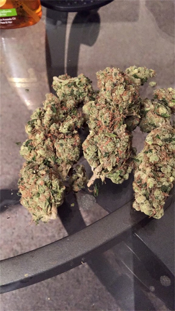 Master Skunk marijuana strain flower with skunk and blue cheese flavor and relaxed / euphoric effects - Rare Harvest hybrid