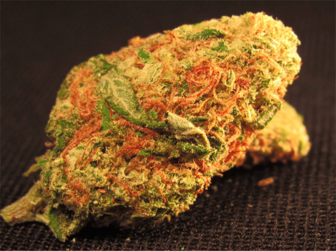 Master Yoda marijuana strain flower with earthy and woody flavor and relaxed / sleepy effects - Rare Harvest hybrid