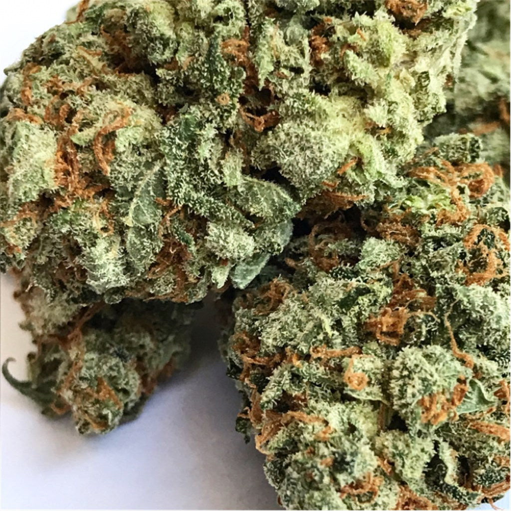 Mataro Blue marijuana strain flower with berry and blueberry flavor and relaxed / tingly effects - Rare Harvest indica