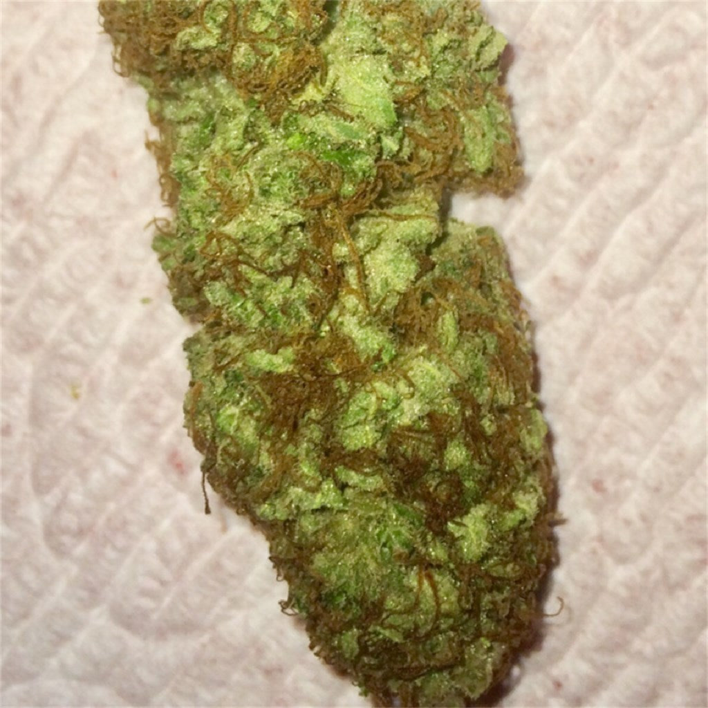 Maui Wowie marijuana strain flower with tropical and pineapple flavor and energetic / uplifted effects - Rare Harvest sativa