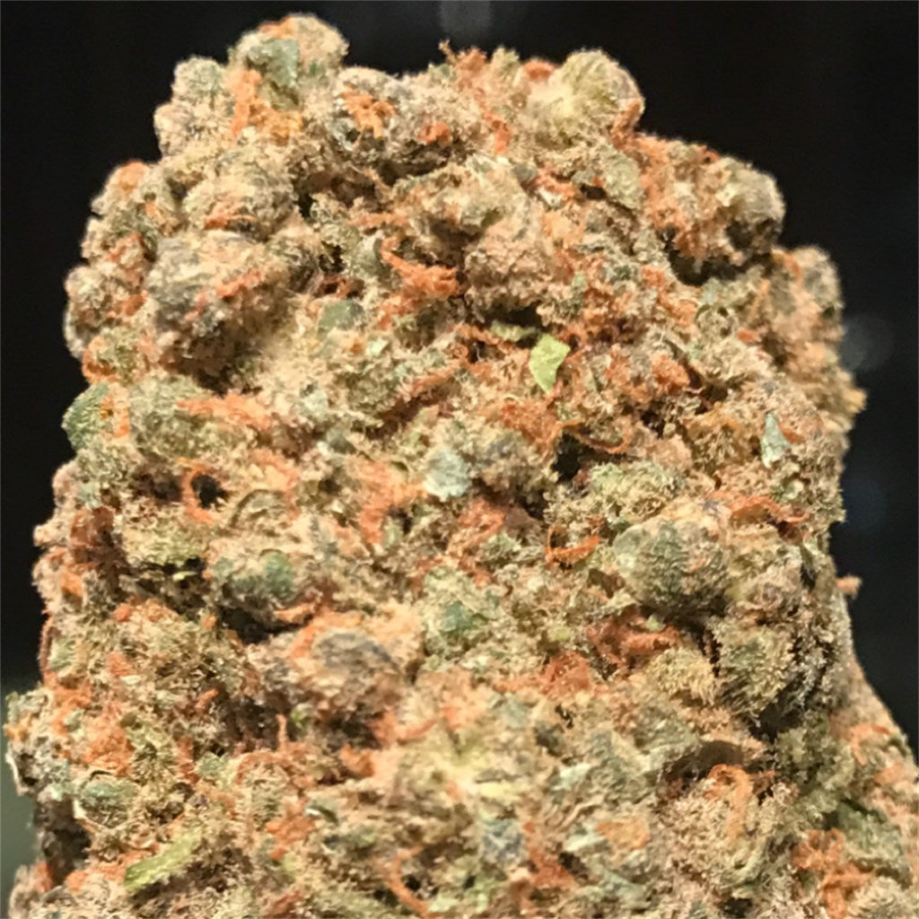 Maui marijuana strain flower with tropical and sweet flavor and talkative / uplifted effects - Rare Harvest sativa