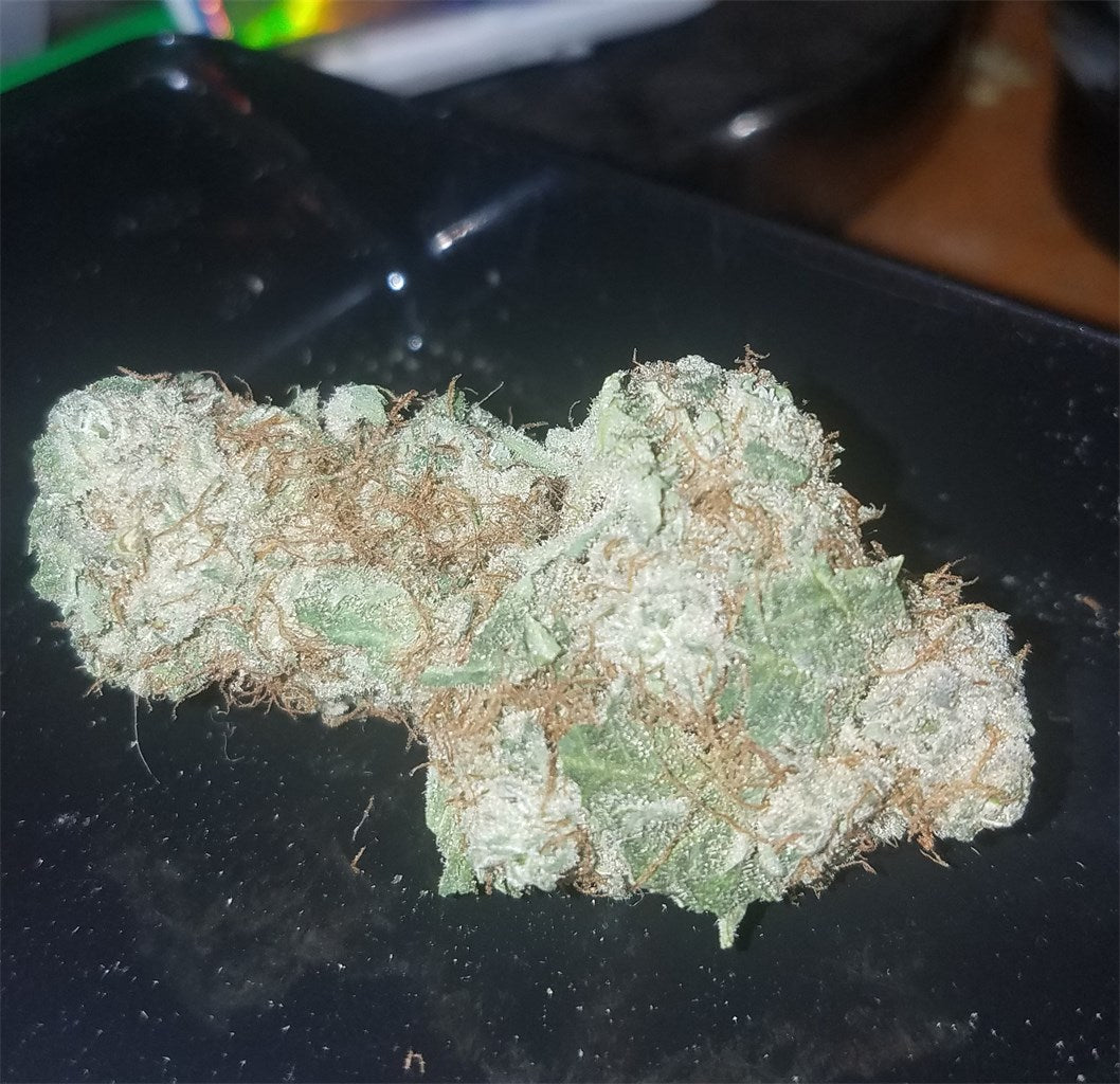 Medusa marijuana strain flower with blueberry and sweet flavor and relaxed / creative effects - Rare Harvest hybrid