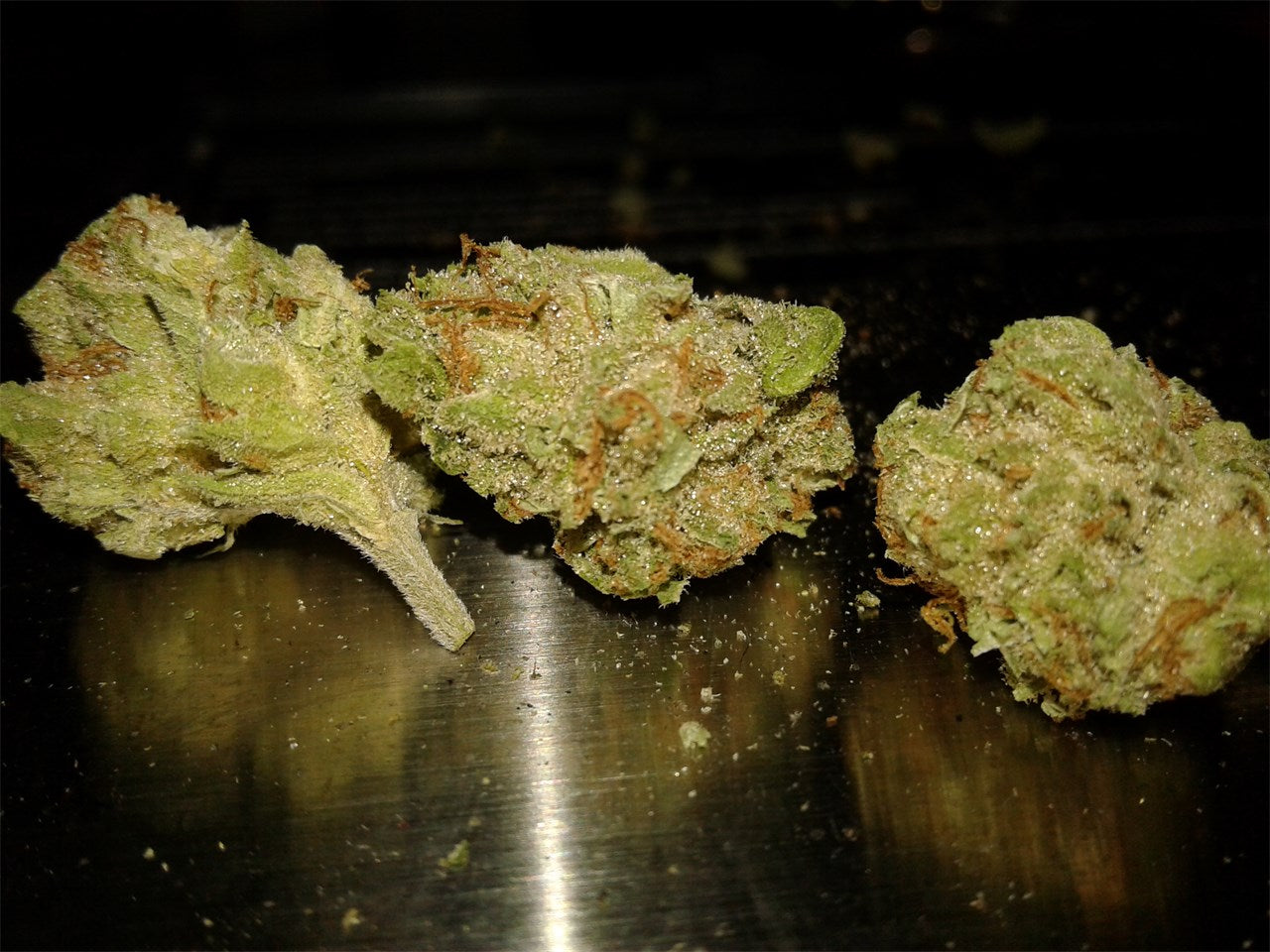 Memory Loss marijuana strain flower with ammonia and pepper flavor and giggly / focused effects - Rare Harvest sativa