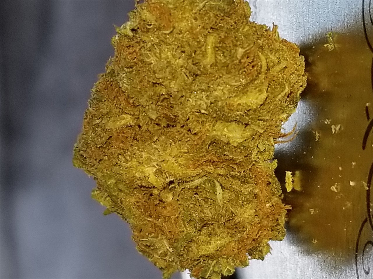 Mendocino Madness marijuana strain flower with mint and chemical flavor and energetic / creative effects - Rare Harvest hybrid