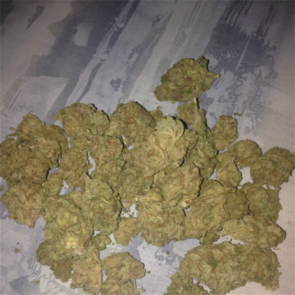 Mendocino Purps marijuana strain flower with violet and grape flavor and hungry / relaxed effects - Rare Harvest hybrid