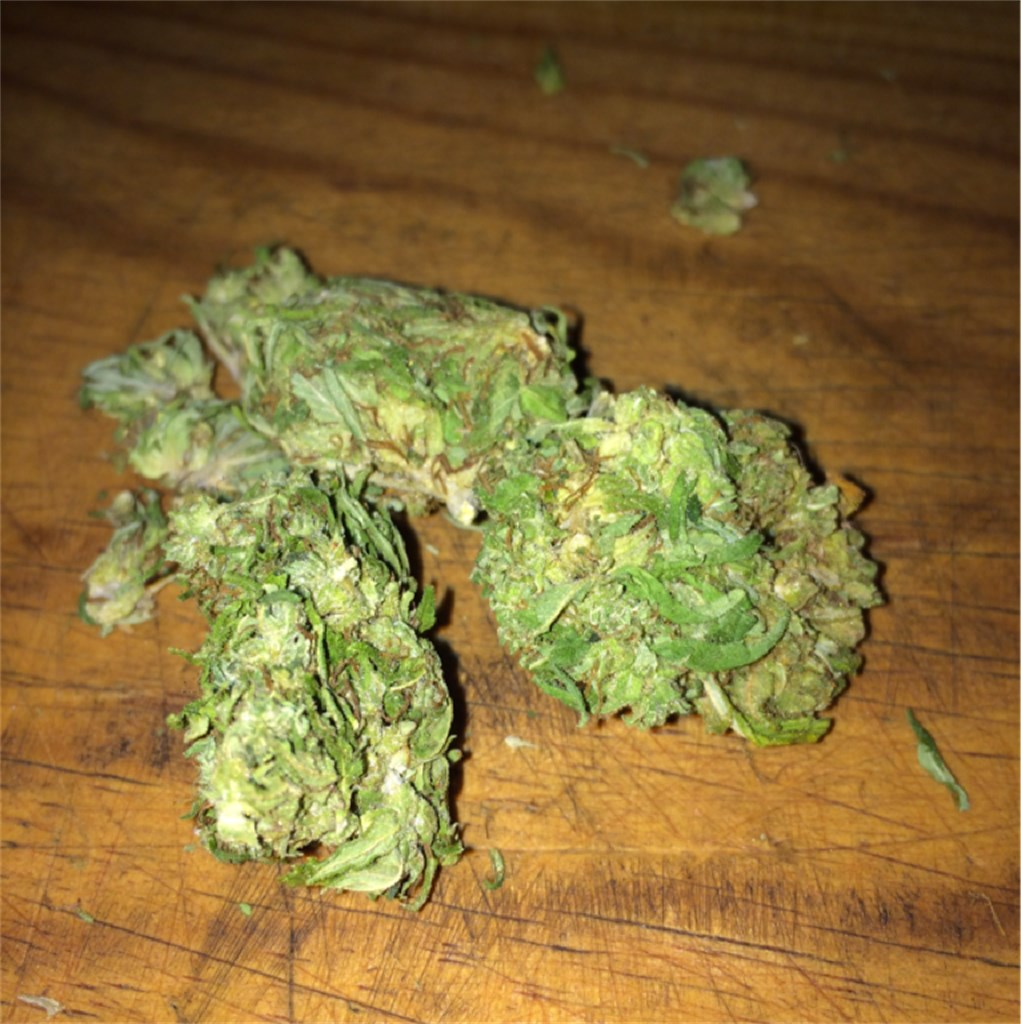 Mexican Sativa marijuana strain flower with tobacco and pepper flavor and energetic / talkative effects - Rare Harvest sativa