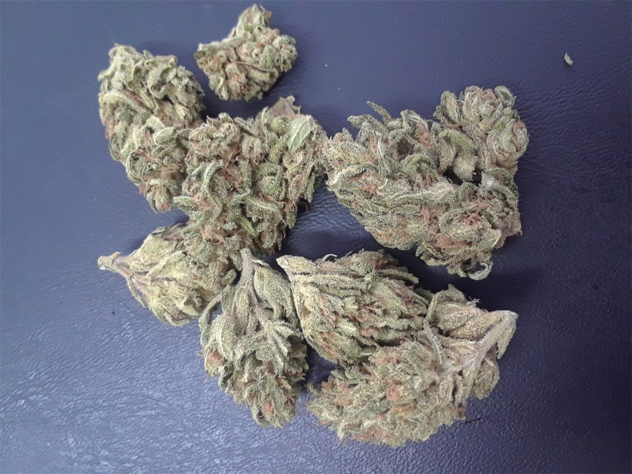 Mickey Kush marijuana strain flower with pear and lemon flavor and uplifted / energetic effects - Rare Harvest sativa