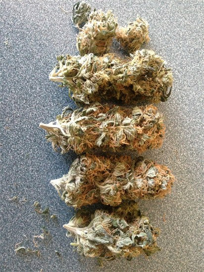 Millennium marijuana strain flower with blueberry and diesel flavor and energetic / creative effects - Rare Harvest hybrid