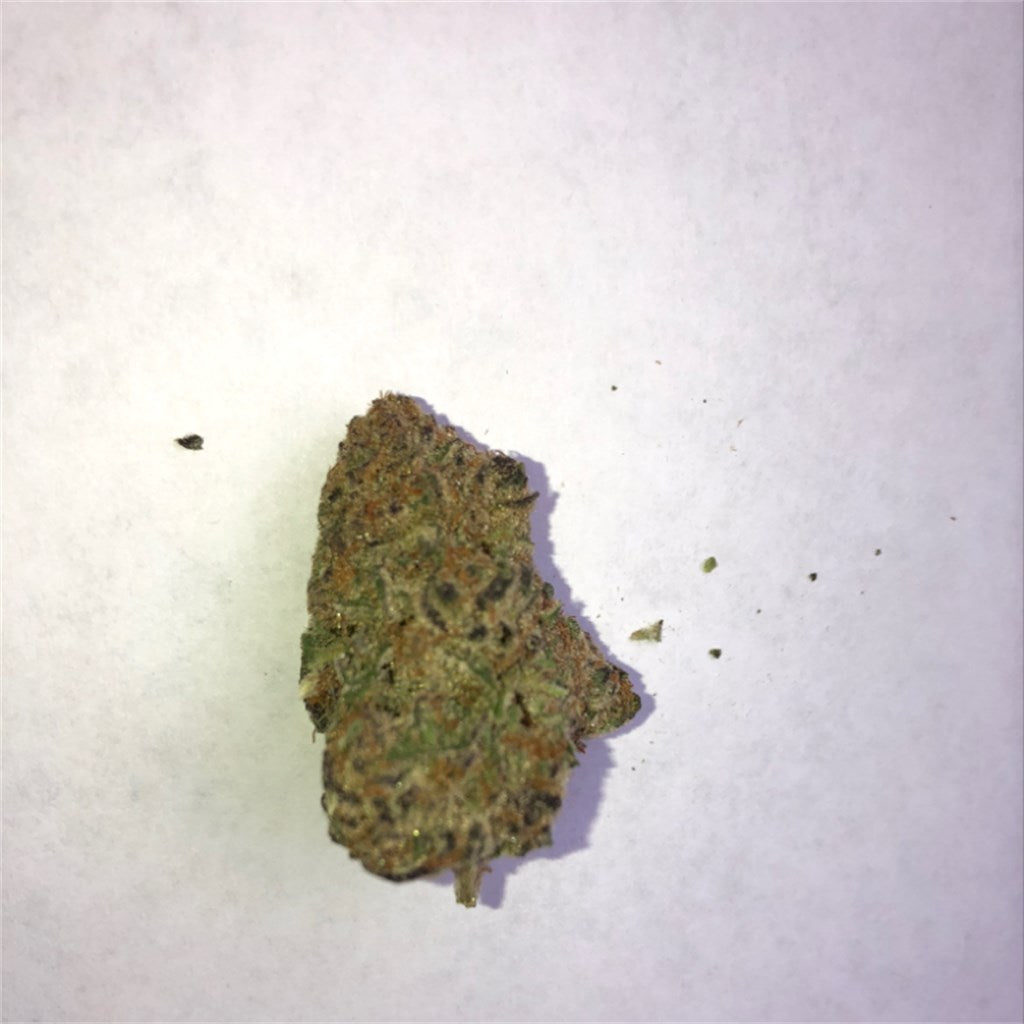 Mimosa marijuana strain flower with citrus and orange flavor and focused / energetic effects - Rare Harvest hybrid