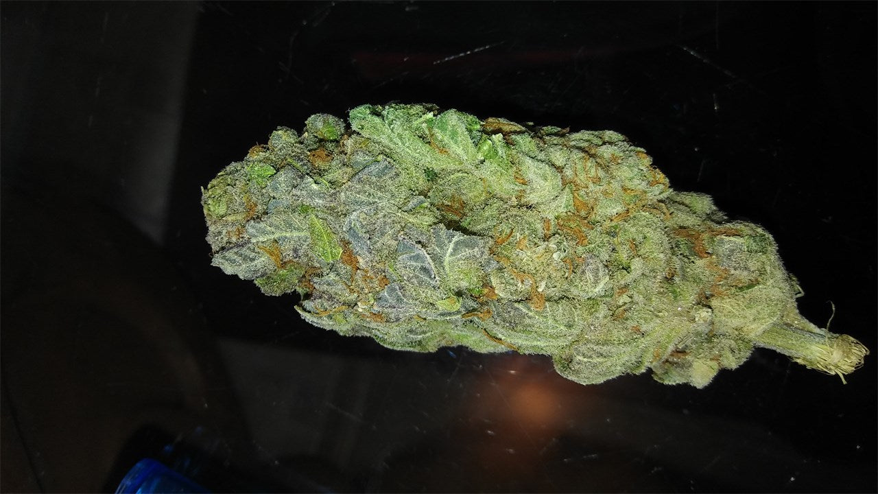 Mob Boss marijuana strain flower with citrus and earthy flavor and focused / talkative effects - Rare Harvest hybrid