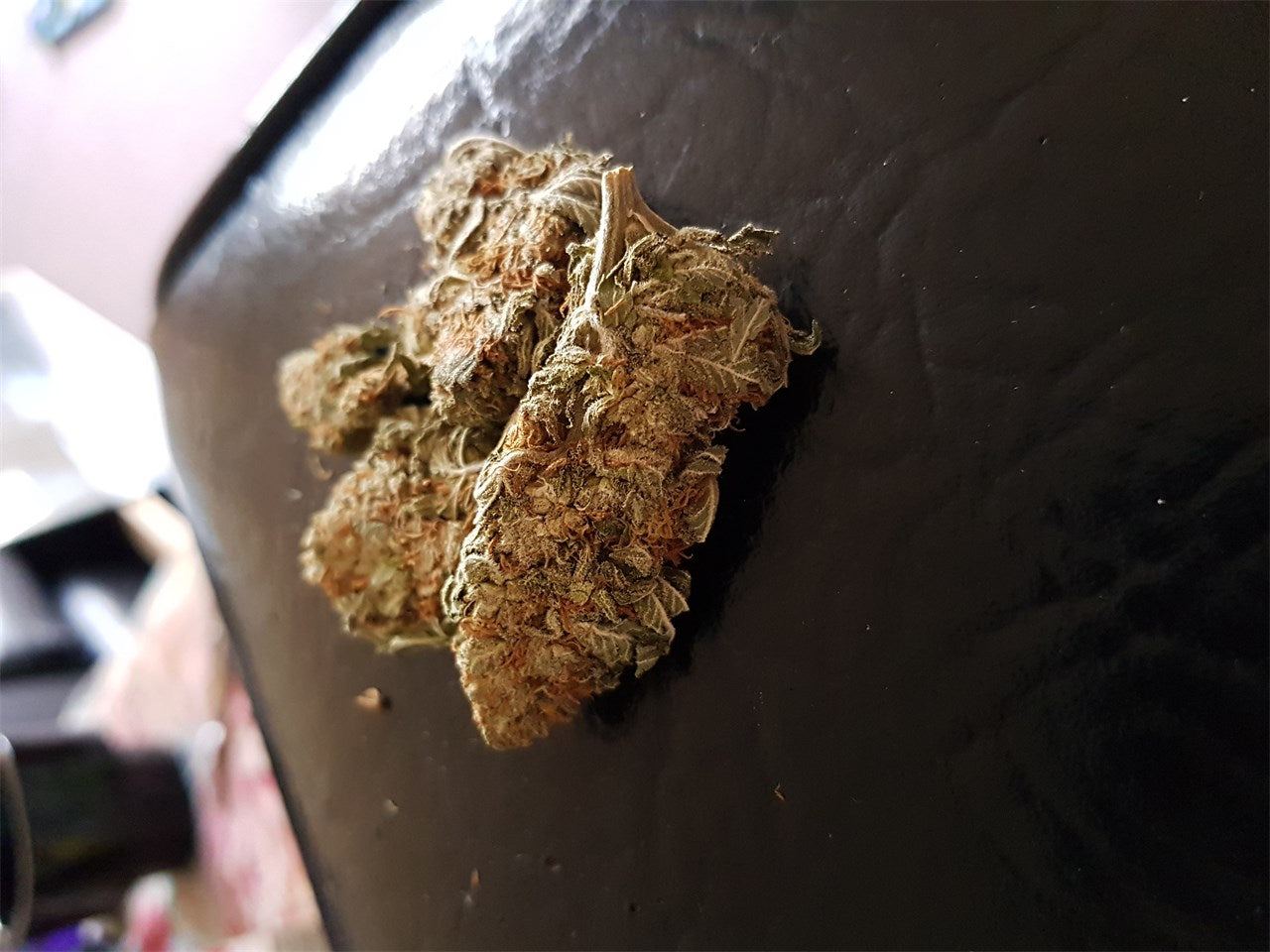 Money Maker marijuana strain flower with nutty and earthy flavor and sleepy / hungry effects - Rare Harvest indica