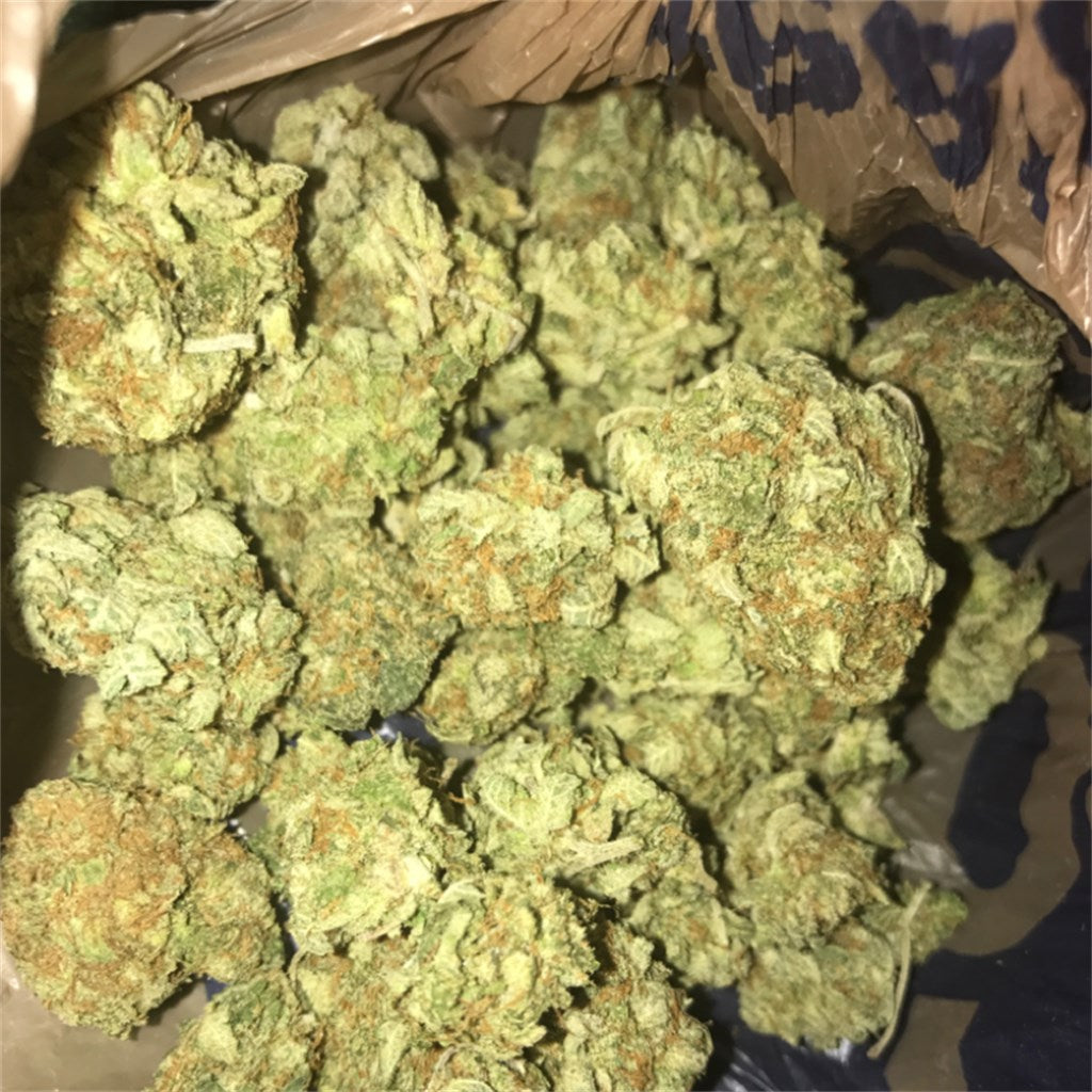 Monster OG marijuana strain flower with citrus and lemon flavor and hungry / relaxed effects - Rare Harvest hybrid