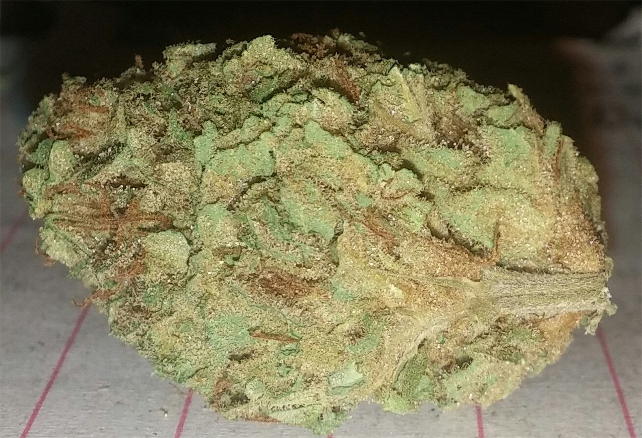 Silvertip marijuana strain flower with pine and flowery flavor and relaxed / happy effects - Rare Harvest hybrid