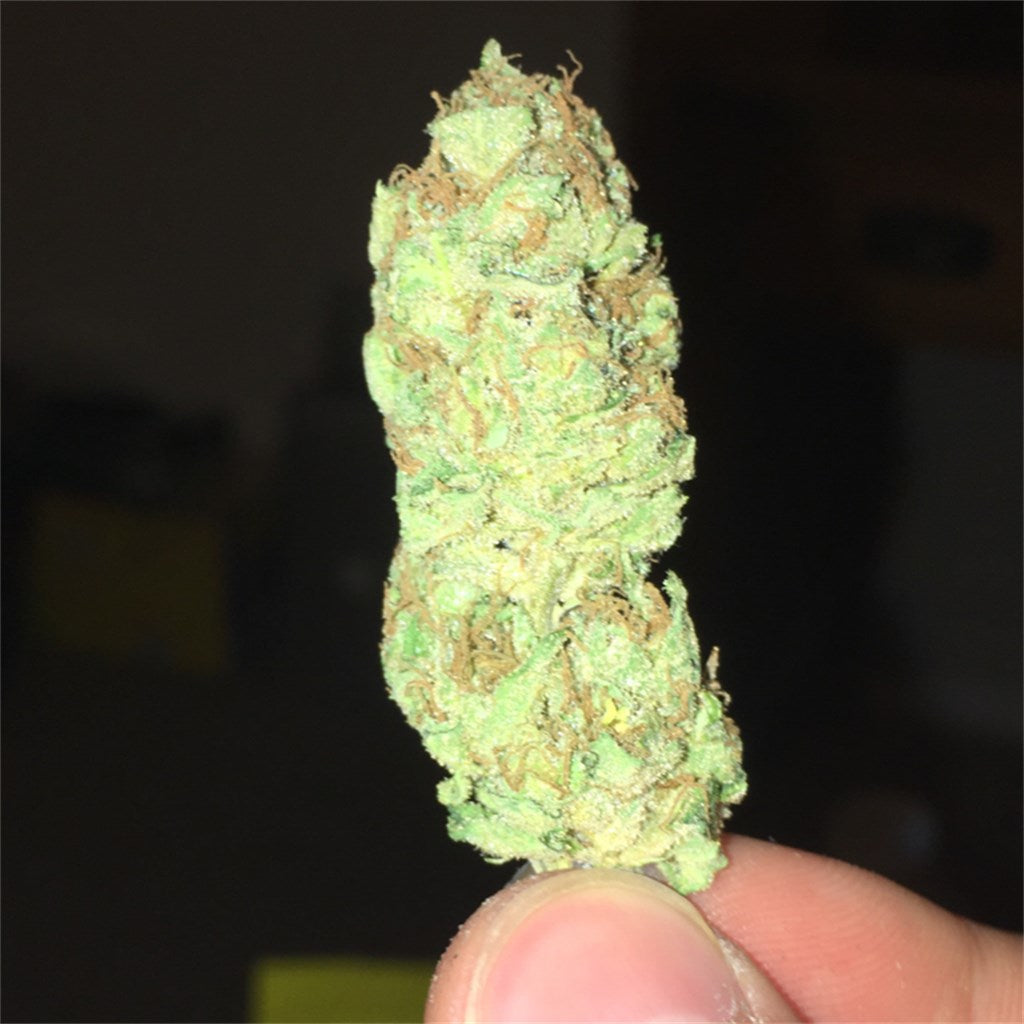 Moonwalker Kush marijuana strain flower with earthy and cheese flavor and happy / relaxed effects - Rare Harvest hybrid