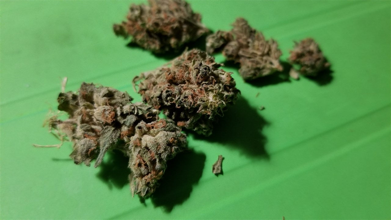 Morning Glory marijuana strain flower with lime and pepper flavor and energetic / creative effects - Rare Harvest hybrid