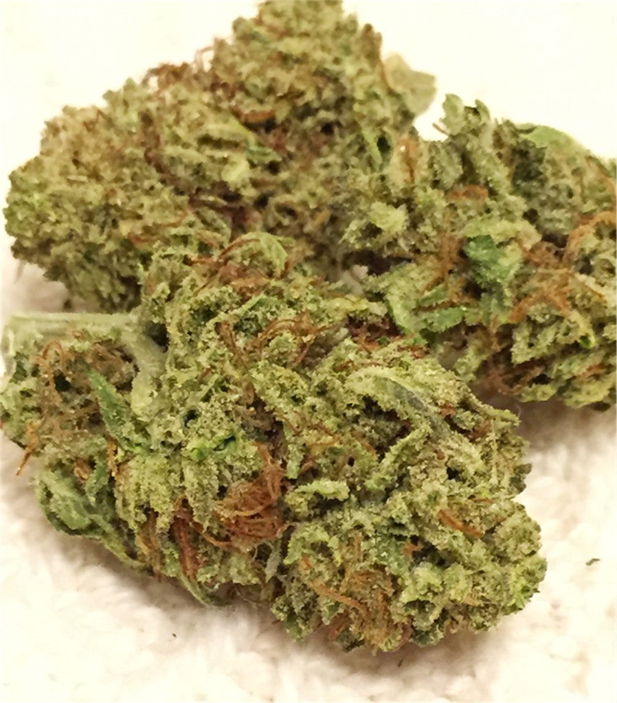 Morning Star marijuana strain flower with blueberry and orange flavor and uplifted / energetic effects - Rare Harvest hybrid
