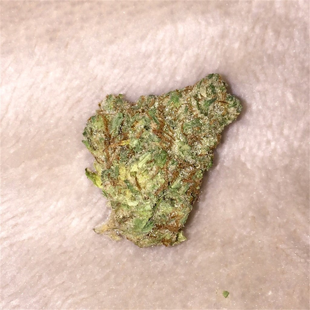 Mossad marijuana strain flower with lemon and sweet flavor and euphoric / focused effects - Rare Harvest indica