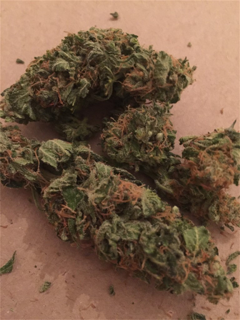 Motavation marijuana strain flower with blueberry and lemon flavor and creative / energetic effects - Rare Harvest indica