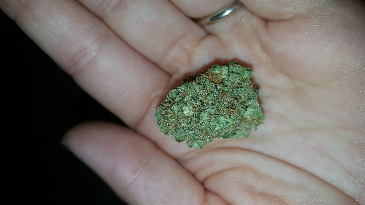 Mother’s Finest marijuana strain flower with lemon and pine flavor and aroused / energetic effects - Rare Harvest sativa