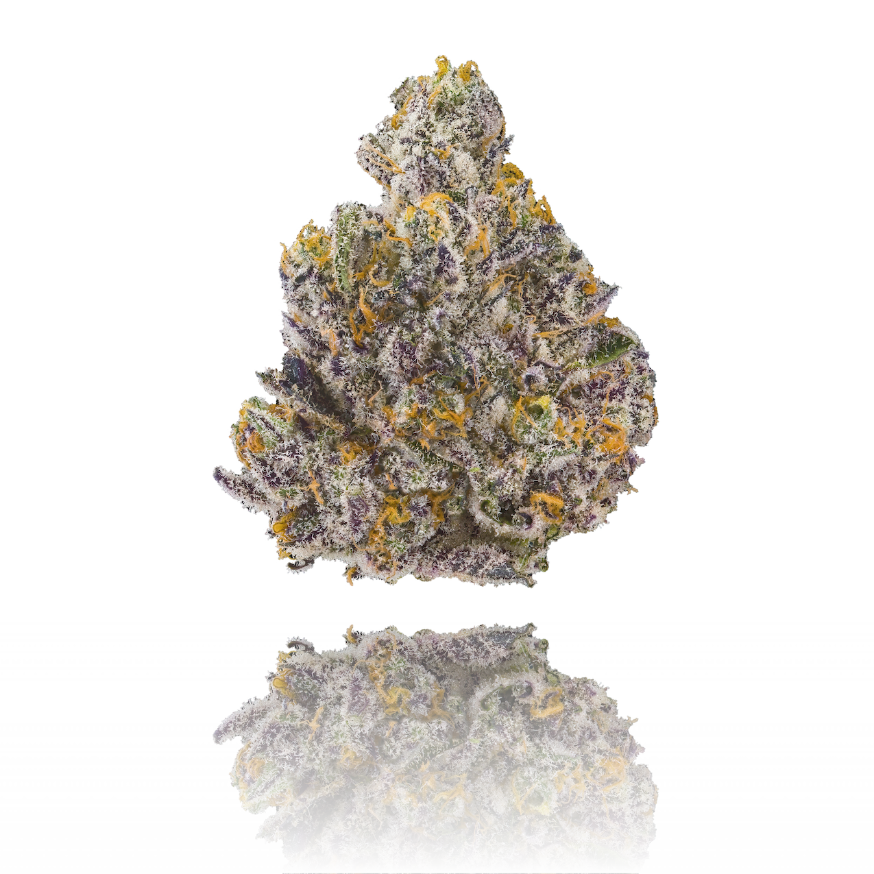 Golden Applez marijuana strain flower with apple and diesel flavor and creative / aroused effects - Rare Harvest hybrid