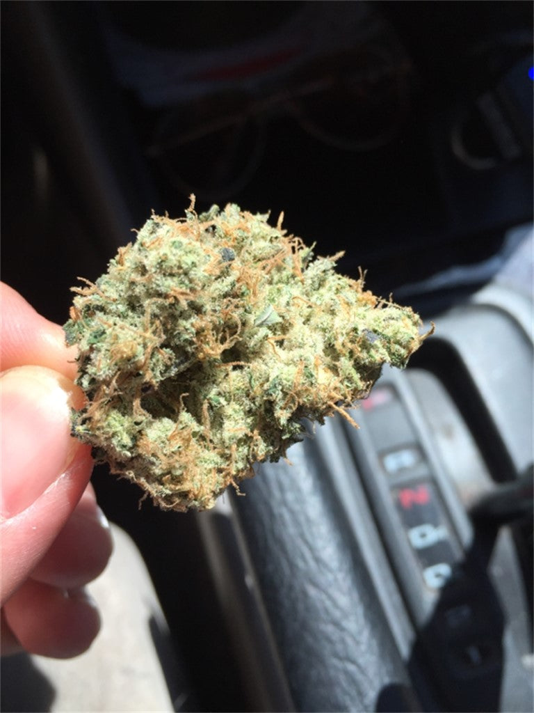 Mt. Hood Magic marijuana strain flower with earthy and berry flavor and euphoric / uplifted effects - Rare Harvest hybrid
