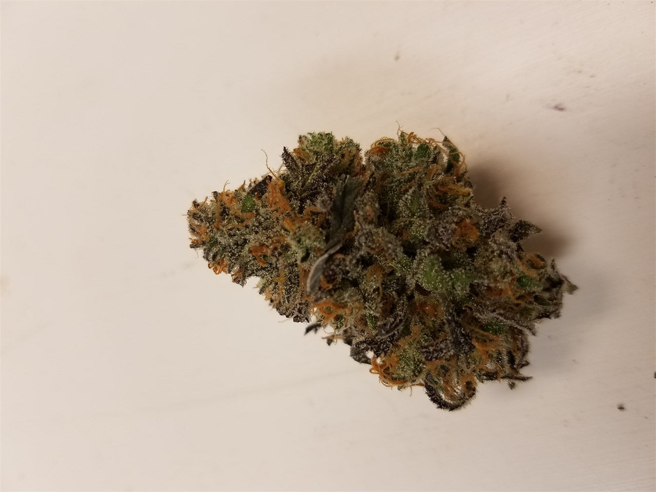 Mud Bite marijuana strain flower with blue cheese and blueberry flavor and creative / happy effects - Rare Harvest indica