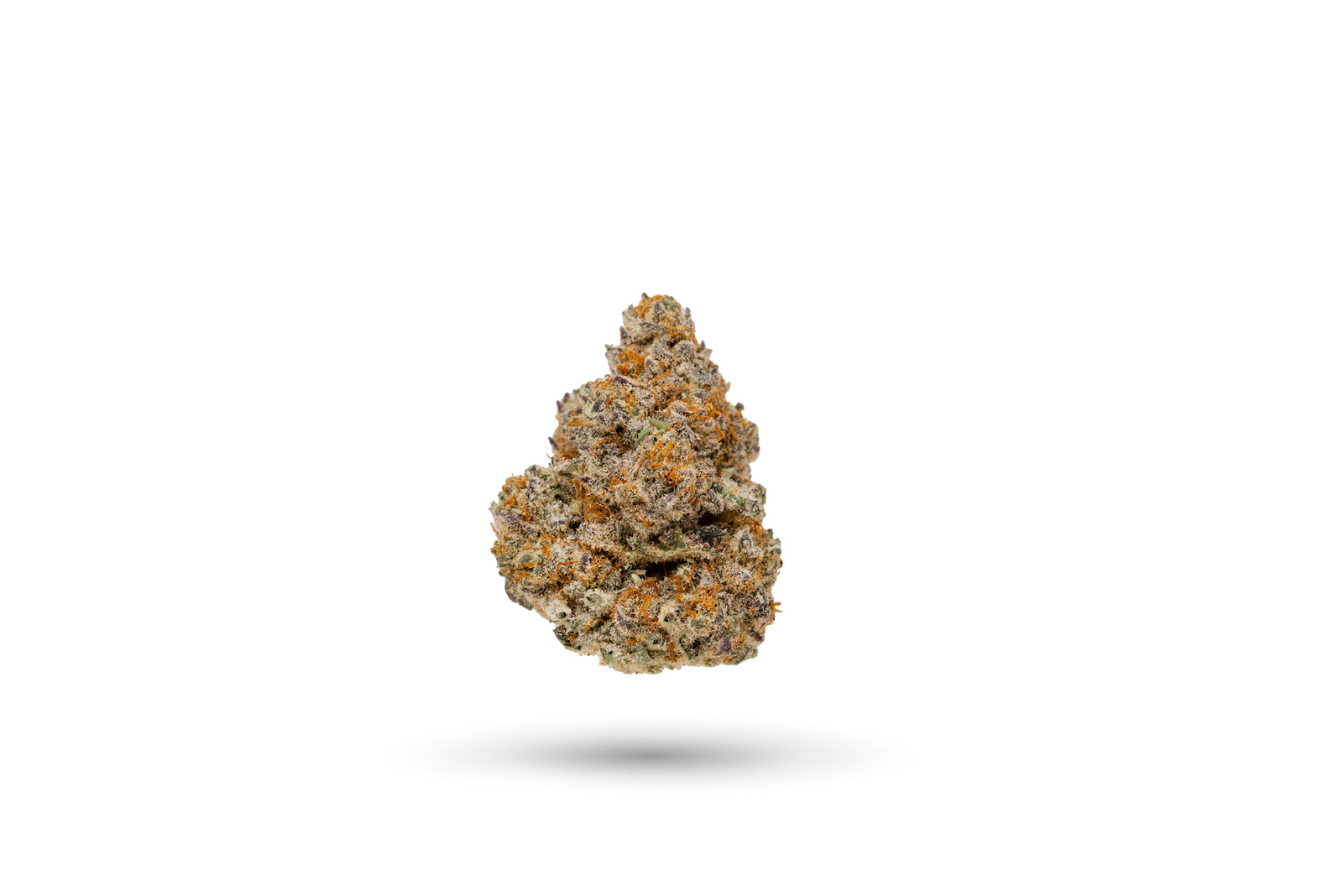 Powder Daze marijuana strain flower and uplifted / talkative effects - Rare Harvest sativa