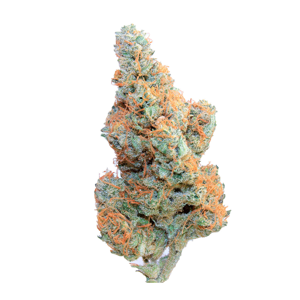 Sweet Mandarine Zkittlez XL Auto marijuana strain flower with sweet and citrus flavor and happy / giggly effects - Rare Harvest hybrid