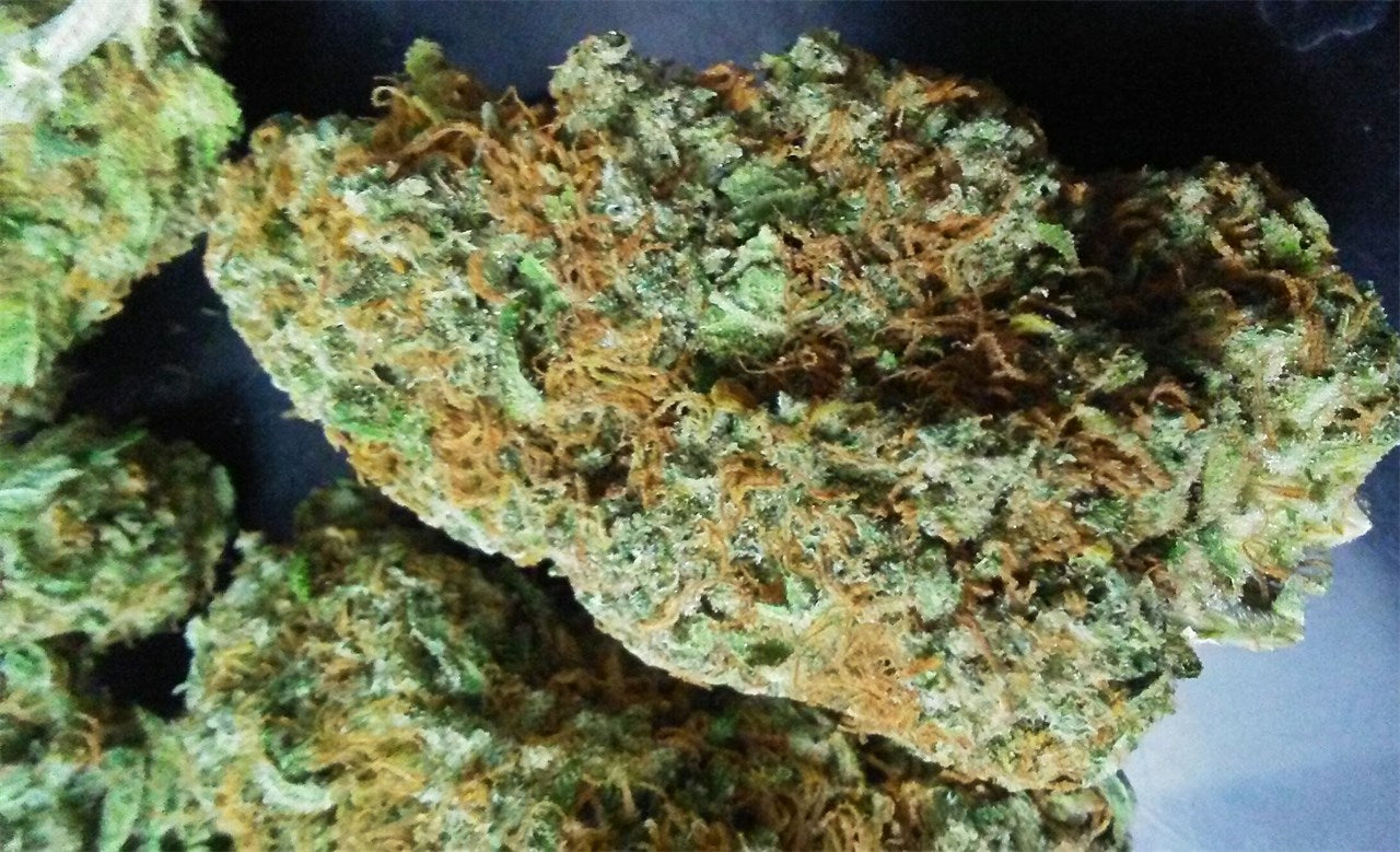 Nebula marijuana strain flower with honey and flowery flavor and uplifted / creative effects - Rare Harvest hybrid
