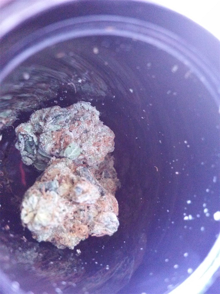 Neptune OG marijuana strain flower with tree fruit and tropical flavor and sleepy / focused effects - Rare Harvest indica