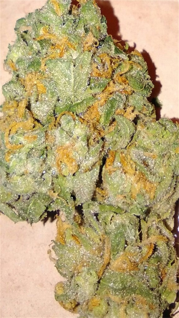 Nevil's Wreck marijuana strain flower with diesel and earthy flavor and energetic / creative effects - Rare Harvest sativa