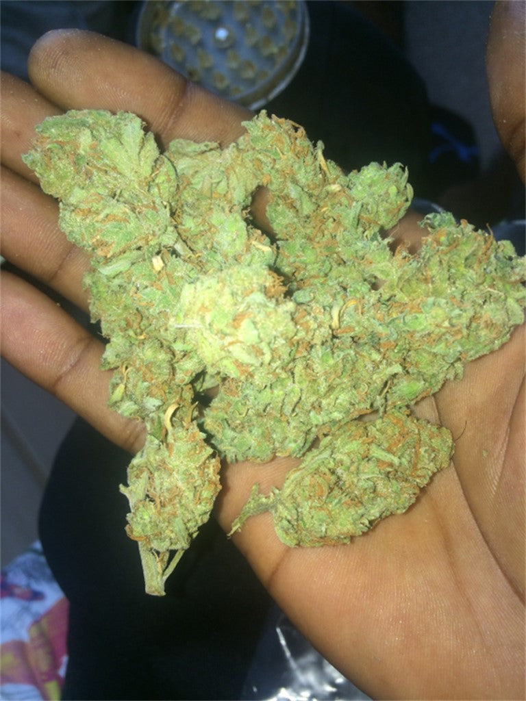 Neville's Haze marijuana strain flower with diesel and lemon flavor and giggly / euphoric effects - Rare Harvest sativa