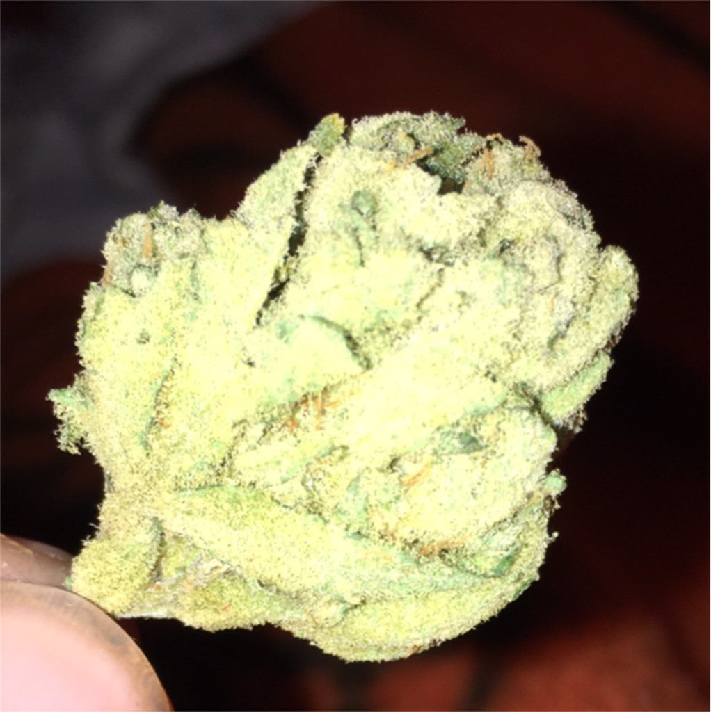 Nexus OG marijuana strain flower with berry and sweet flavor and energetic / creative effects - Rare Harvest indica
