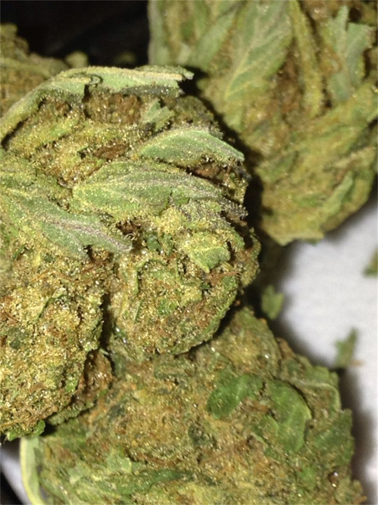 Nice Cherry marijuana strain flower with berry and pine flavor and energetic / happy effects - Rare Harvest indica