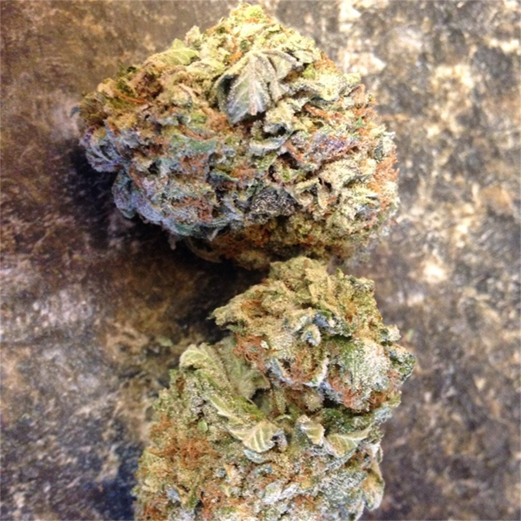 Night Terror marijuana strain flower with berry and pine flavor and sleepy / relaxed effects - Rare Harvest indica