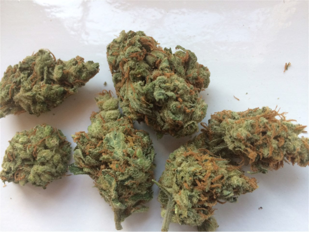 NL5 Haze Mist marijuana strain flower with nutty and berry flavor and energetic / creative effects - Rare Harvest sativa