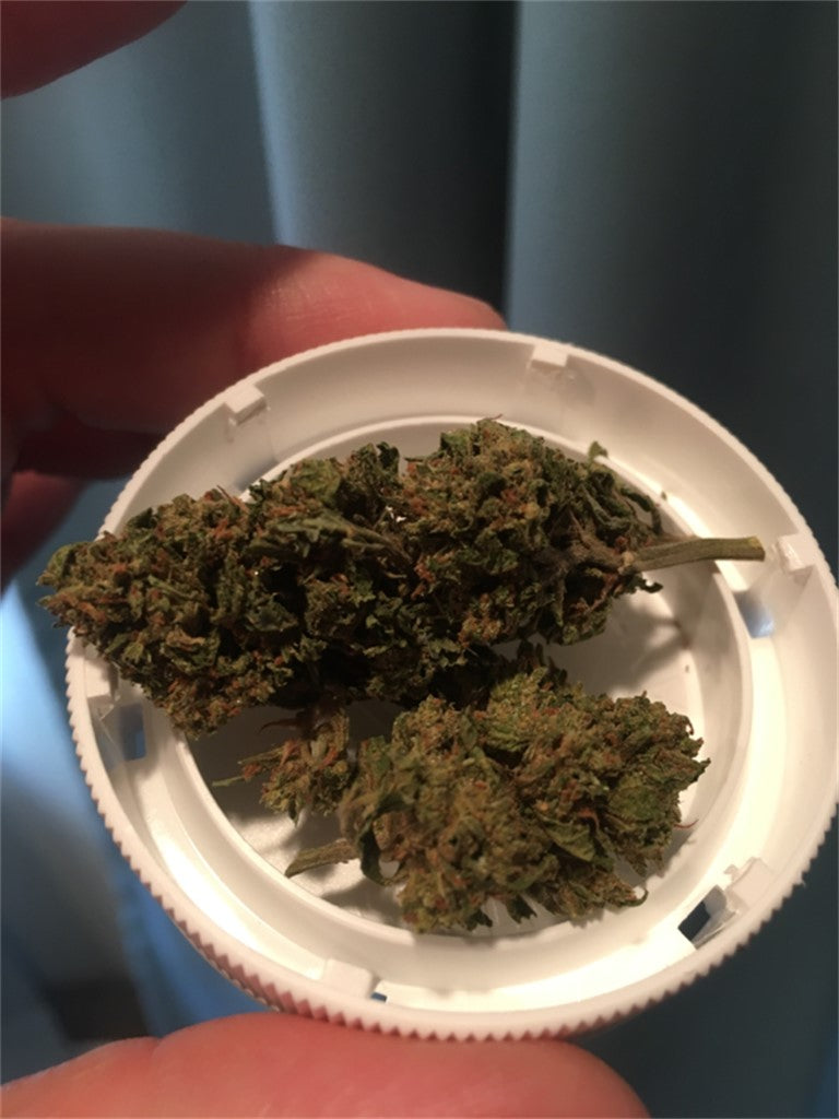 North Indian marijuana strain flower with tropical and tea flavor and energetic / creative effects - Rare Harvest indica