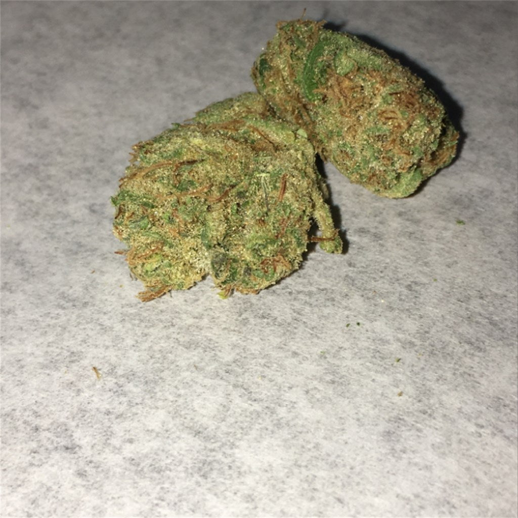 Northern Cross marijuana strain flower and energetic / creative effects - Rare Harvest hybrid