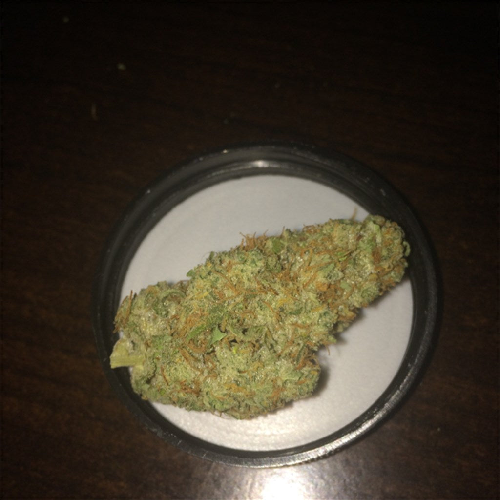 Northern Skunk marijuana strain flower with skunk and pungent flavor and happy / euphoric effects - Rare Harvest hybrid